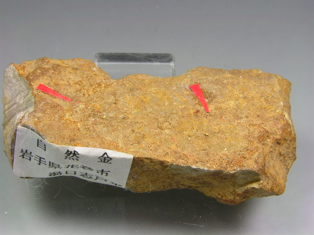 超珍品】湖北省産の虹色腎臓状黄鉄鉱・3・79g（中国産鉱物標本）
